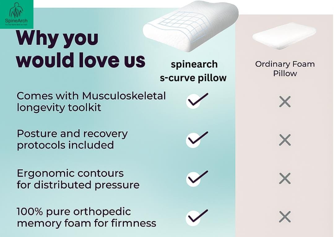 spinearch neck rest s curve pillow (queen size 14x24x4) spinearch neck rest s curve pillow (queen size 14x24x4)