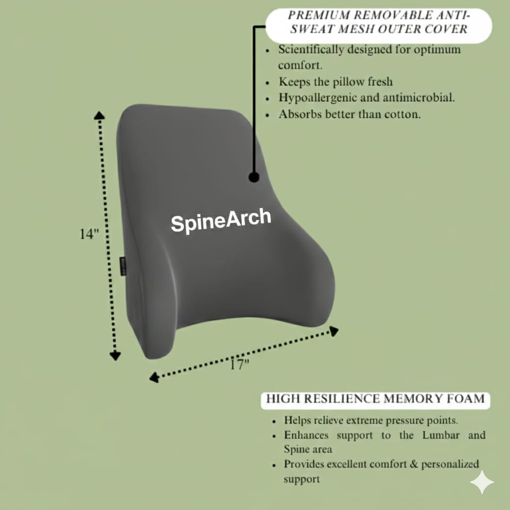 spinearch chair & car back rest pillow (14x17x5) this price applicable only on 30 pc. moq spinearch chair & car back rest pillow (14x17x5) this price applicable only on 30 pc. moq